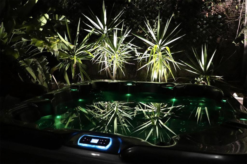 Luxury Jacuzzi Home & Terraces Málaga Buitenkant foto